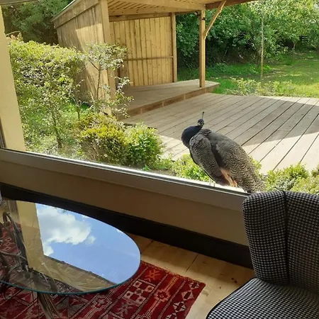 Bed & Breakfast D'hotes Le Petit 3*