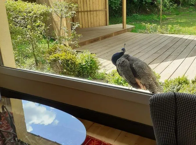 فندق مبيت وإفطار D'hotes Le Petit 3*